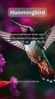  ¿Xantus's Hummingbird: Un ave diminuta que desafía los vientos y la gravedad?